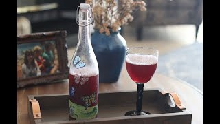 How To Make Kefir Soda by Donna Schwenk 2,320 views 1 month ago 1 minute, 35 seconds