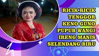 Download Lagu RICIK RICIK - TENGGOR \ MP3