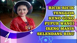 RICIK RICIK - TENGGOR 'TAYUB TUBAN NONSTOP' KYAI MADU RETNO
