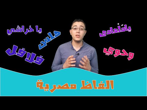 معاني الالفاظ المصرية معنى هلس و يا خراشي و شلق و عبيط و فلافل الخ