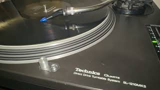Guns and Roses - Paradise city(vinyl record)