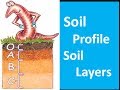 Soil Formation and Composition Concepts