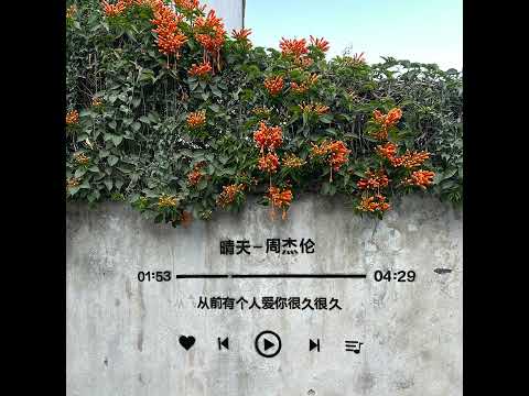 《晴天》 周杰伦------从前有个人爱你很久