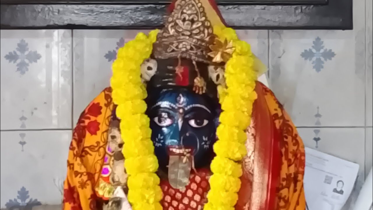 🪷 নীল সরস্বতী পূজা 🪷 