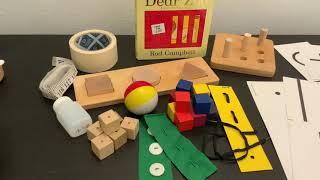 PDMS-2 assessment (Long clip)