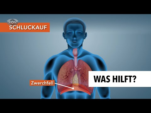 Video: Schluckauf (Gras) - Nützliche Eigenschaften Und Verwendung Von Schluckauf. Ikotnik Grau, Graugrün