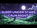Starry Sky Dream 🌌 | 4 Hours Relaxing Anime Night &amp; Ambient Piano (4K)