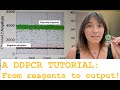 DdPCR Tutorial From Calculating Reagents To Reading Live Results