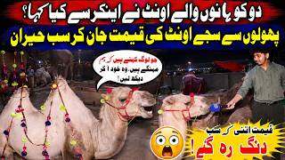 What Did the Two-Humped Camel Say to the Anchor? | Everyone Shocked After Hearing the Camel’s Price