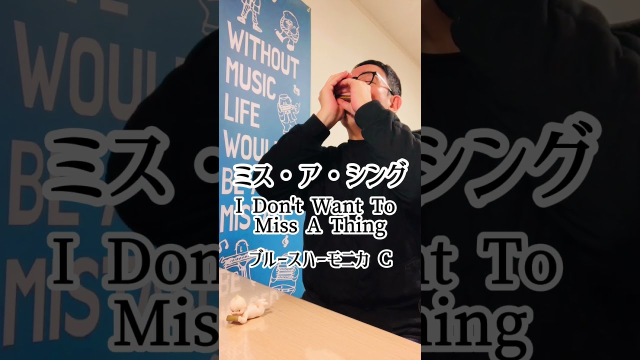 HOHNER ホーナー　エアロスミス　スティーヴンタイラー　ブルースハープ HOHNER ホーナー エアロスミス スティーヴンタイラー ブルース