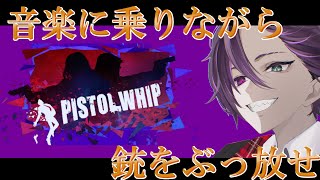 VRでやる銃撃戦×リズムゲームの新感覚ゲーム【Pistol Whip 】をやっていく！