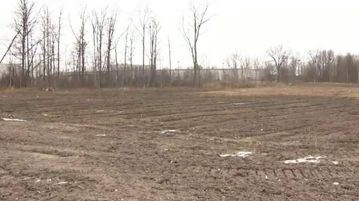 Canton Township brothers fined $550,000 for cutting down trees on their own property