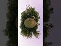Adorable Park Chase Between Two Sisters! | #shorts #reels #unicorn