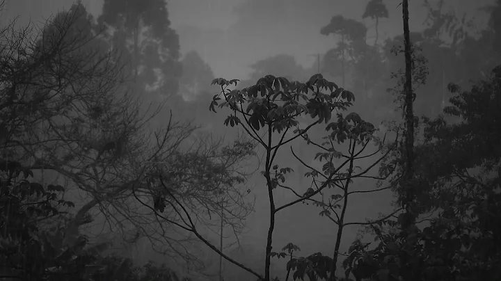 Rain & Thunder Sounds, Nature & Rain Sounds to Rel...