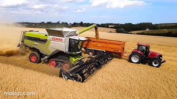 4Kᵁᴴᴰ Harvest 2023: Claas Lexion 7700TT with MacDon FD135 in Suffolk.