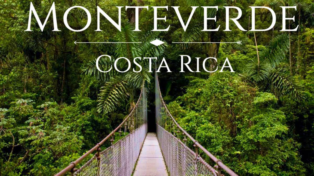 Monteverde Costa Rica - Explorando Los Puentes Colgantes YouTube