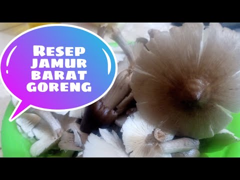 Resep Jamur Barat Goreng