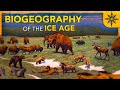 The BIOGEOGRAPHY of the Ice Age