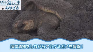 小学生とアカウミガメの現地調査 日本財団 海と日本PROJECT In みやざき 2018 #09 小学生とアカウミガメの現地調査 日本財団 海と日本PROJECT In みやざき 2018 #09