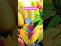 Mangoes #healthyfruits #kingoffruits #vitA,C #shortsvideo #satisfying