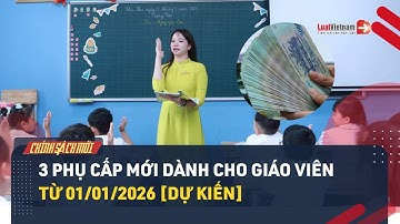 3 Phụ Cấp Mới Dành Cho Giáo Viên Từ 01/01/2026 [Dự Kiến] | LuatVietnam.vn