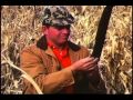Pheasant land usa  vintage south dakota pheasant hunting  full