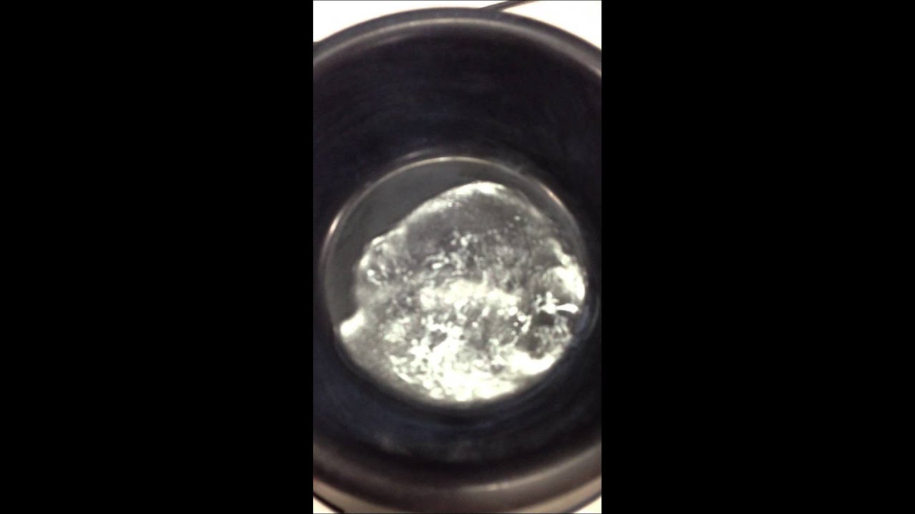 Ultra Ever-Dry: Dog Bowl