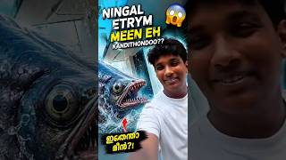 "Ithra valiya meen Kerala-yil undo?"#viral
