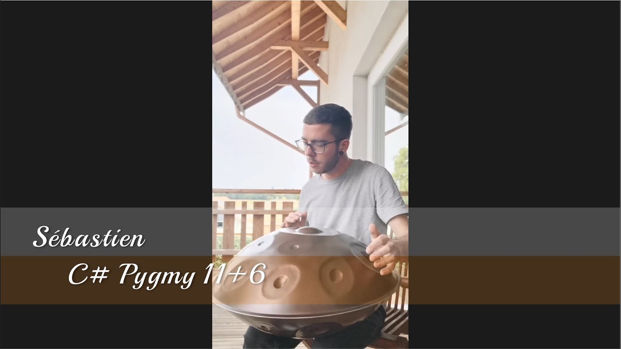 MrPans handpan - C# Pygmy 11+6 - Sebastien