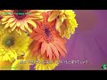 春の予感 I Ve Been Mellow 南 沙織 SAORI MINAMI 歌詞付き 春の予感 I Ve Been Mellow 南 沙織 SAORI MINAMI 歌詞付き