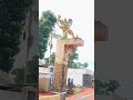ഒരു ഞായറാഴ്ച കാഴ്ചകൾ 😍😍😍#shortsfeed #family #shortvideos #shorts