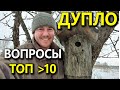 Вопросы о домиках для птиц. Дуплянка из Бобруйска