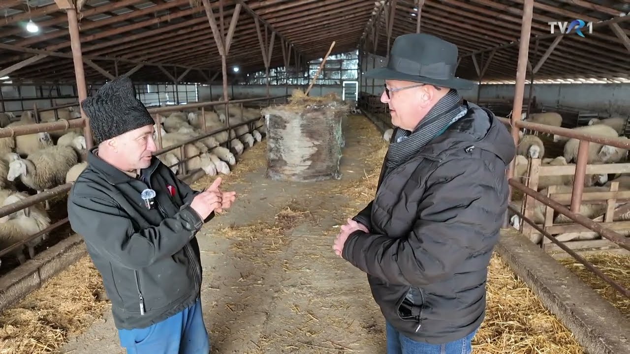 VIAȚA SATULUI - Miorița europeană