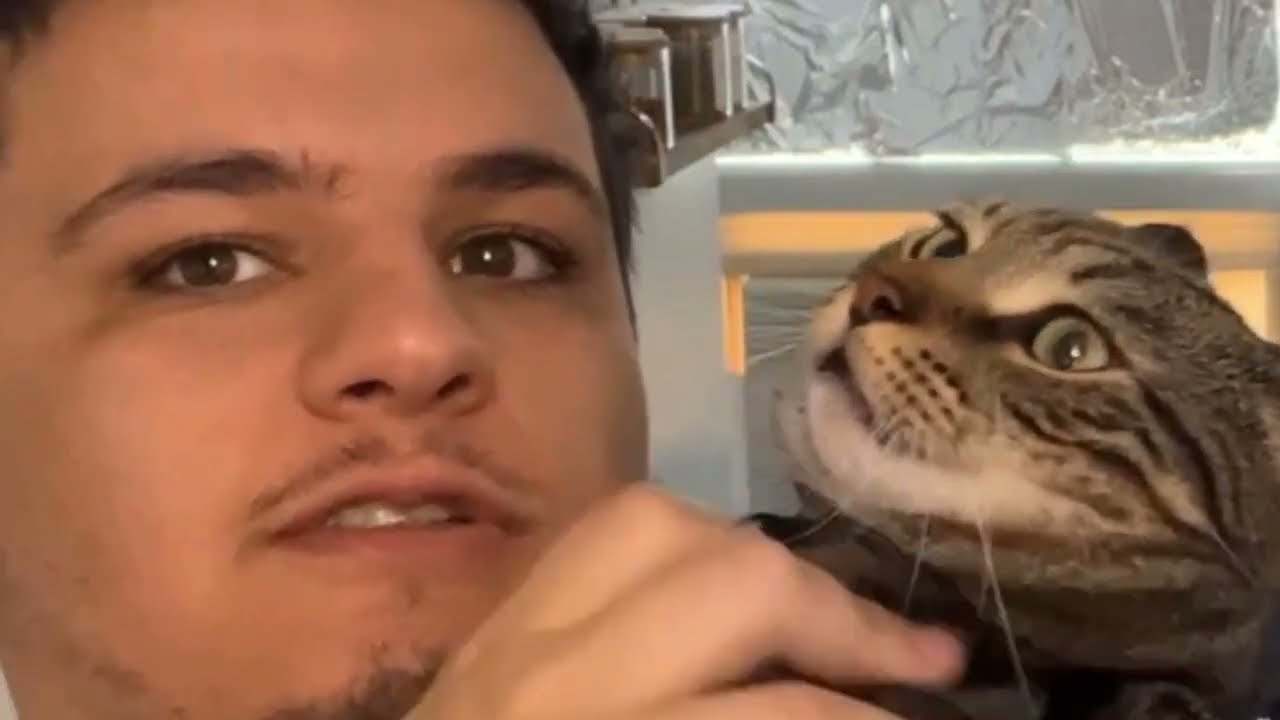 Destiny respectfully studies the Amouranth drama (and more)