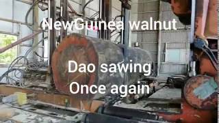 Download Lagu New Gunia walnut sawing (dao) MP3 Download Lagu New Gunia walnut sawing (dao) MP3