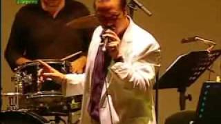 Mike Patton's Mondo Cane - 20 KM Al Giorno (Pro Shot Sudoeste Festival TMN 2010)