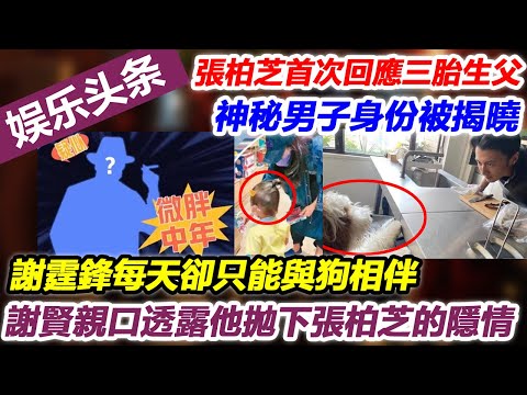 張柏芝首次正面回應三胎生父，神秘男子身份被揭曉，謝霆鋒每天卻只能與狗相伴，謝賢親口透露他拋下張柏芝的隱情