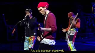 Red Hot Chili Peppers - Goodbye Angels Live (Legendado) (Debut)
