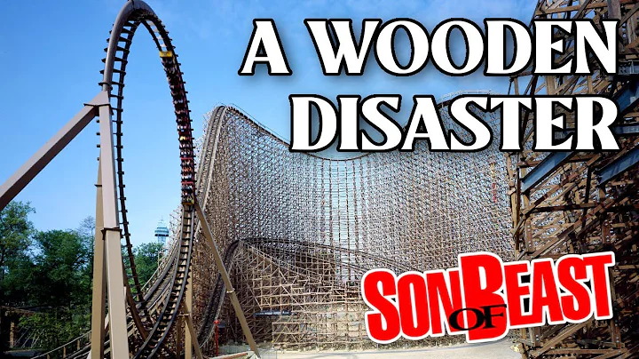 The Son Of Beast Roller Coaster Accidents