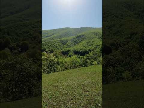 Azerbaijan 🇦🇿 seki kis kendi