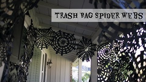 Trash Bag Spider Webs