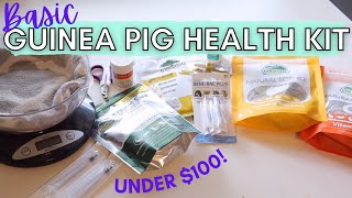 BASIC Guinea Pig Health Kit for Under $100
