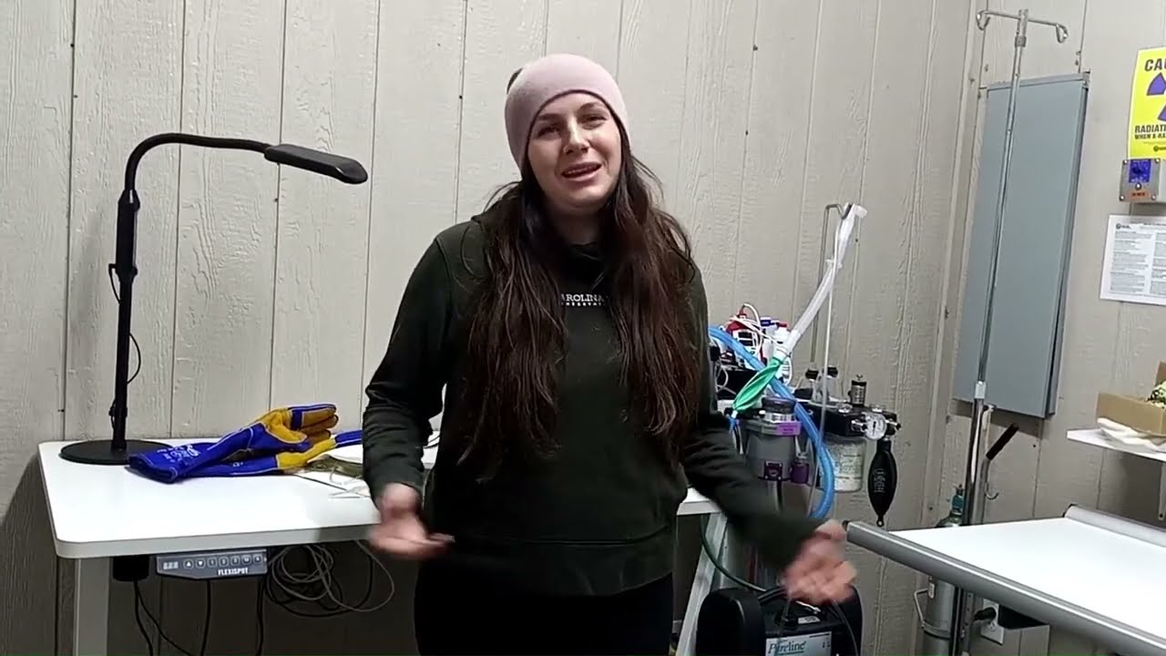 Alysha Briggs   Importance of Local Wildlife Conservation   Made with Clipchamp