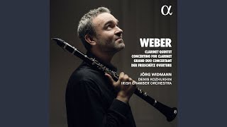 Concertino in E-Flat Major, Op. 26 : I. Adagio ma non troppo