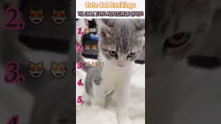#interesting #foryou #funny #cat #funnyvideo #fyp #comedy #mischief Funny Cat Compilation.Hahahaha