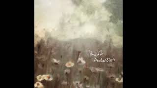 Rand Aldo - Eventual Bloom