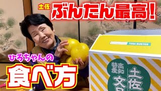 やみつきになる文旦【ひろちゃん】の食べ方【高知での一般的な食べ方】