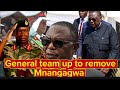 Bernard Mnangagwa Emergies A Candidate For Election In Zambia Under Chief Mnangagwa In Mumbwa Villa 