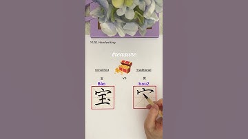 Simplified VS Traditional Chinese - (宝 & 寶) #chinesecalligraphy #chinesecharacters #language #shorts