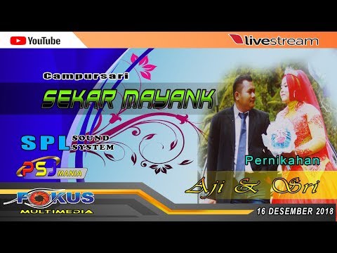 camera iphone 8 plus apk LIVE STREAM//FOKUS MULTIMEDIA//CS.SEKAR MAYANK//PERNIKAHAN AJI & SRI